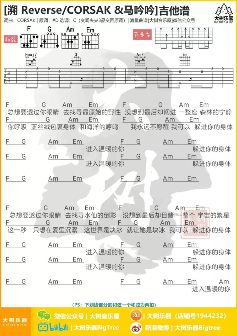 溯吉他谱,CORSAK歌曲,C调指弹简谱,新手弹唱和弦谱