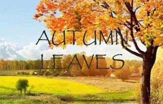 Autumn Leaves吉他谱,原版Eric Clapton歌曲,简单指弹曲谱,高清六线乐谱教学