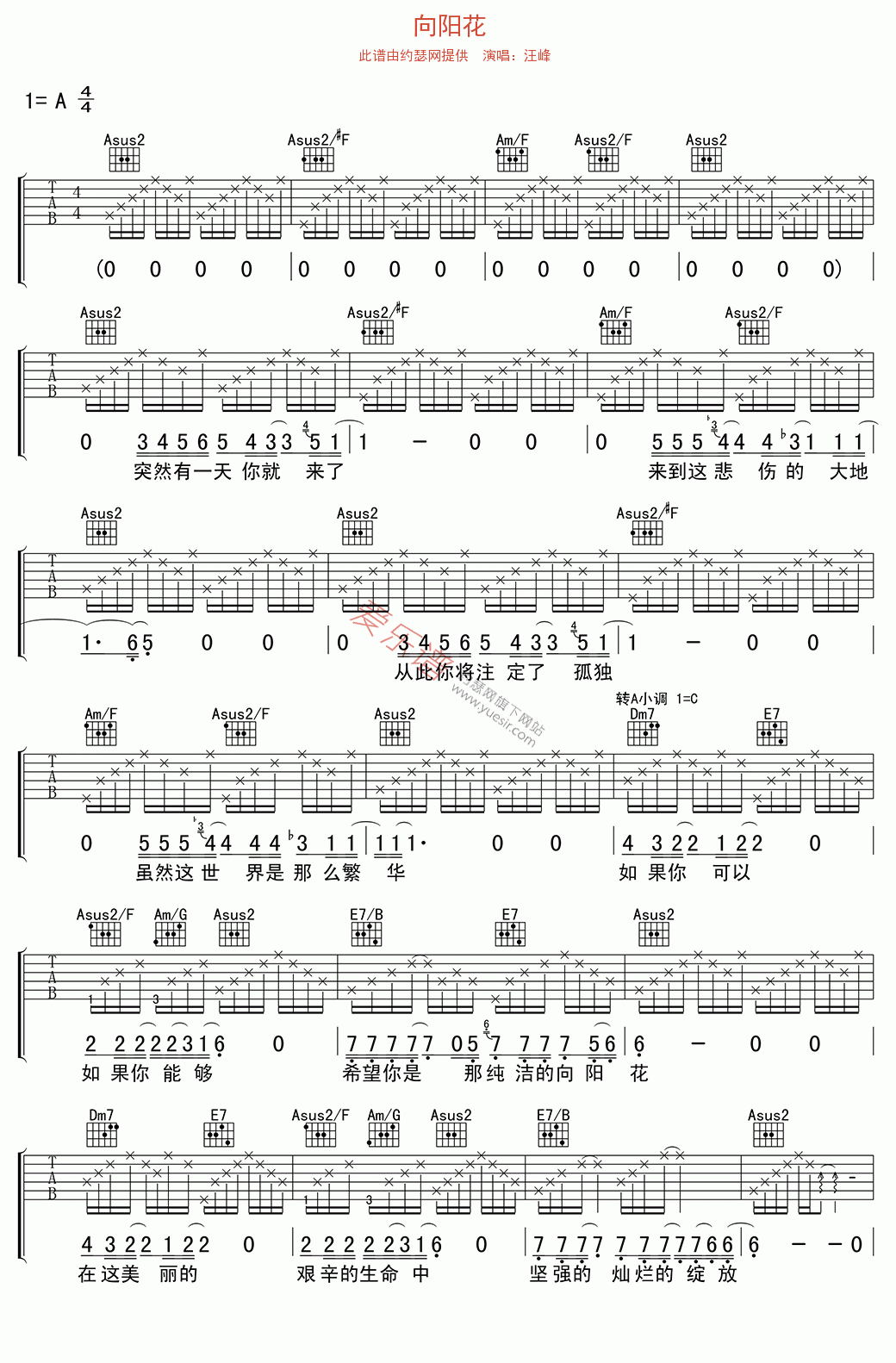 向阳花吉他谱,简单C调原版指弹曲谱,汪峰高清流行弹唱六线乐谱