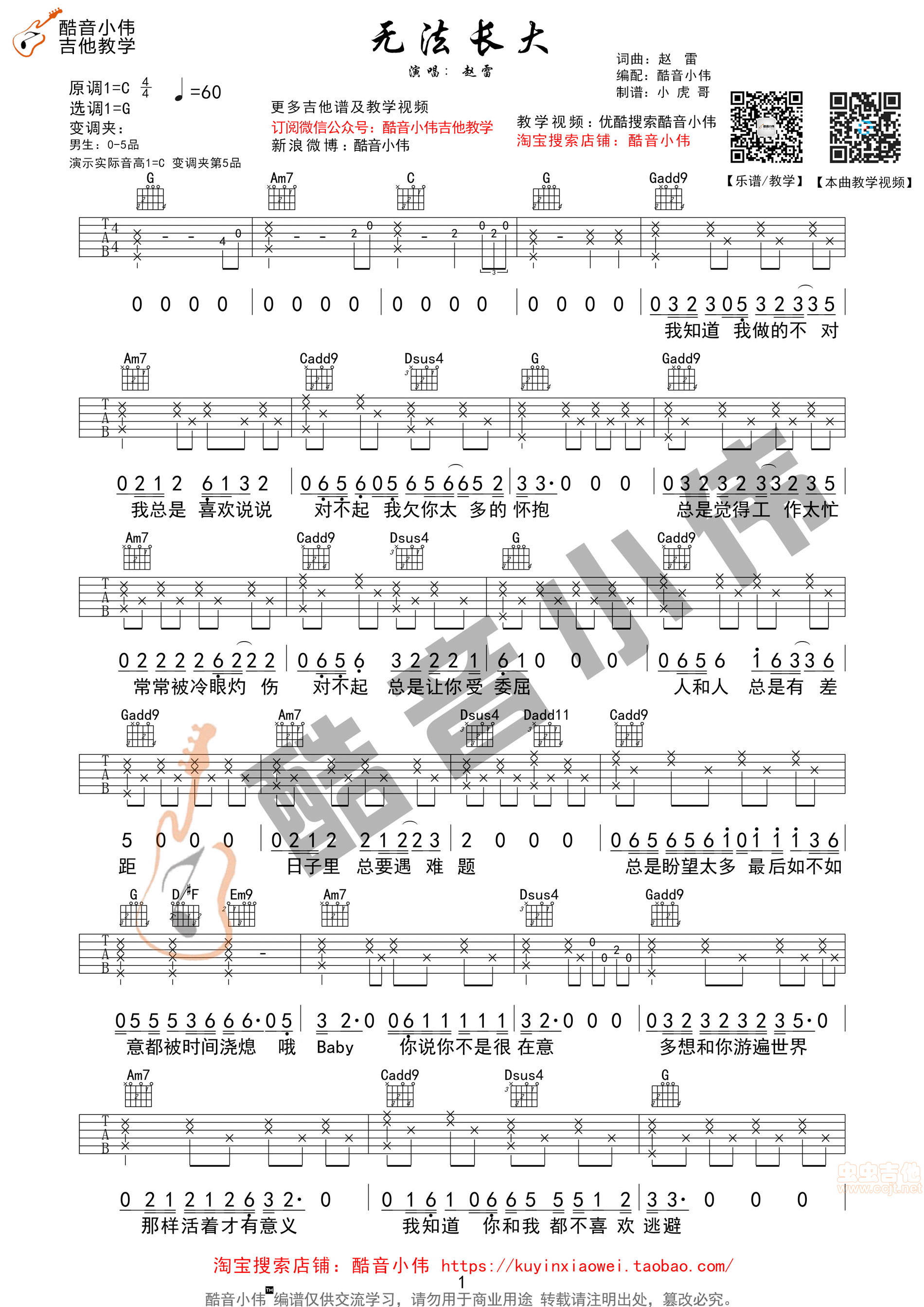 无法长大吉他谱,C调C调简单版原版教学简谱,赵雷六线谱原版六线谱图片