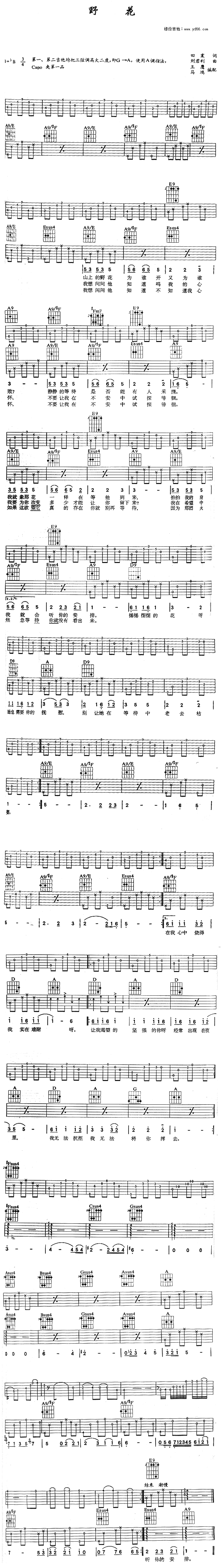 野花吉他谱,C调高清简单谱教学简谱,田震六线谱原版六线谱图片